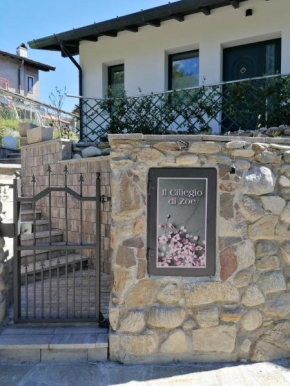 IL CILIEGIO DI ZOE